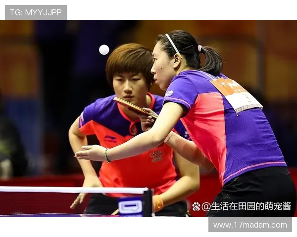 乒乓球激情碰撞展现速度与智慧的较量推动全民健身新风尚