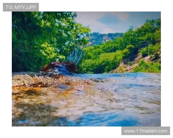 攀岩人生的高峰与低谷陈军分享他的攀岩旅程与心路历程