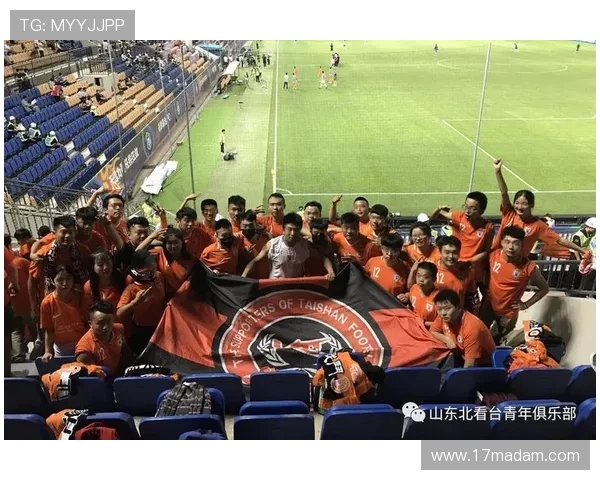 2018年天津泰达对阵鲁能的精彩对决回顾与赛后分析